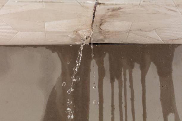 Professional Flood Damage Cleanup technician working in Olney, IL